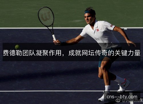 费德勒团队凝聚作用，成就网坛传奇的关键力量